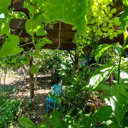 펜션 Summer House 2br Wgarden Close To Gundogan Beach Bodrum